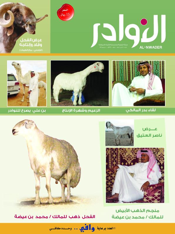 العدد الثامن عشر