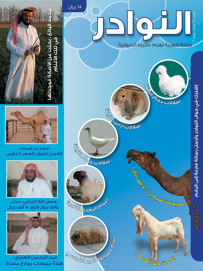 العدد السادس