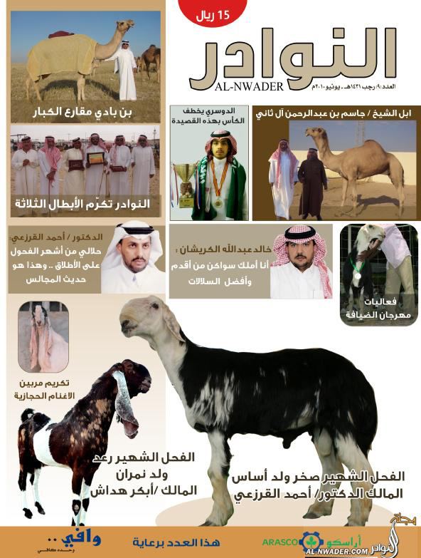 العدد التاسع