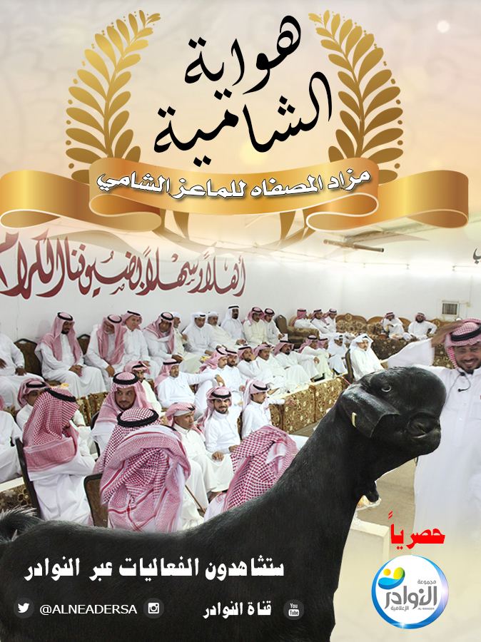 #مزاد_المصفاة_للماعز_الشامي يوم الجمعة 15 / 10 / 1439هـ