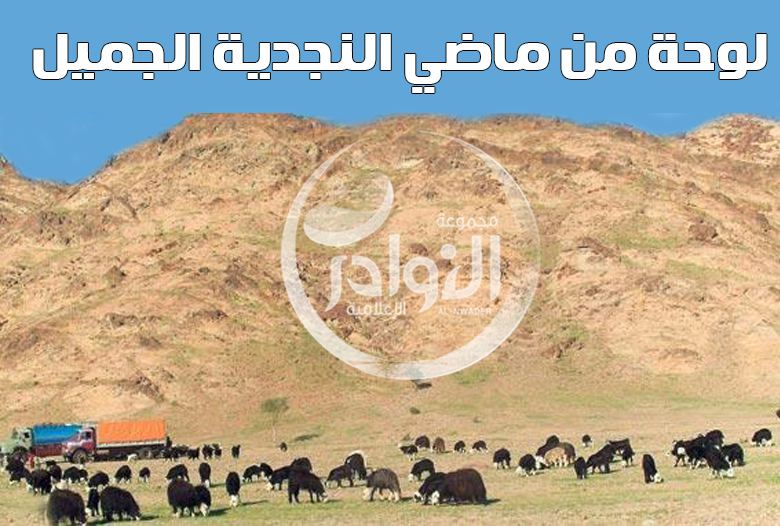 لوحة من ماضي النجدية الجميل 