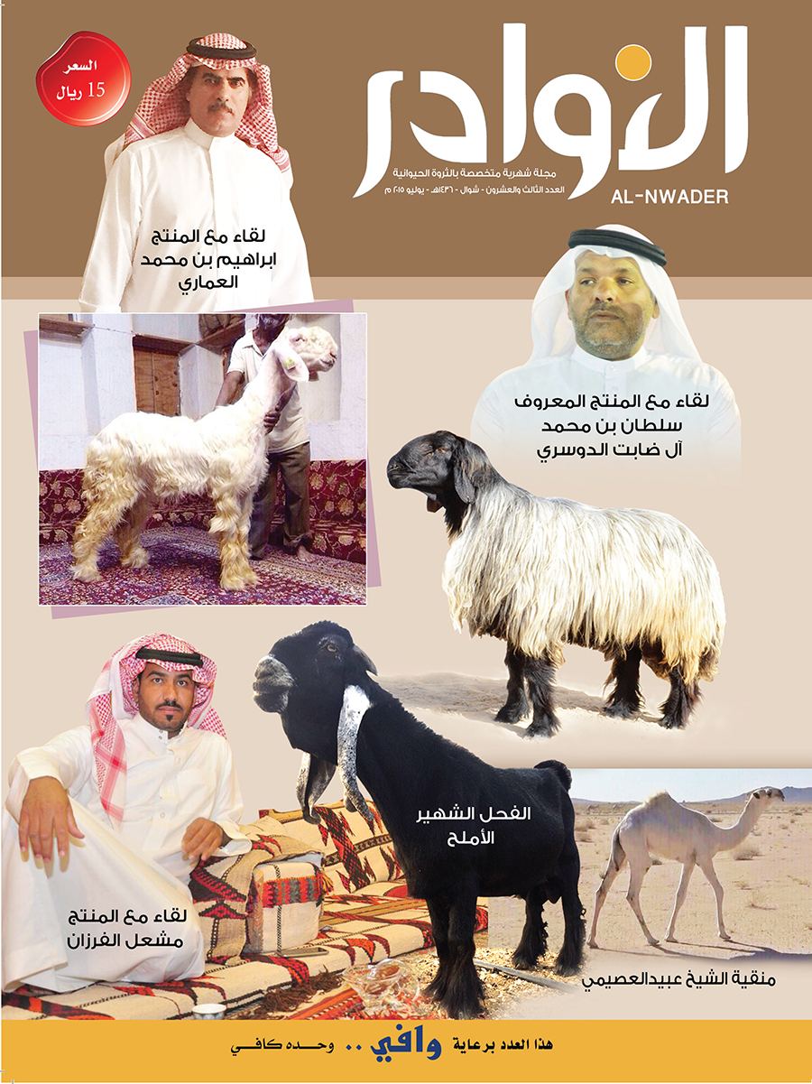 العدد الثالث والعشرون