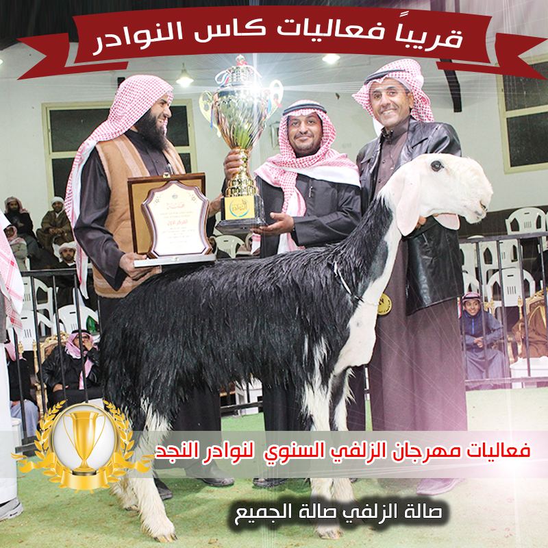 ختام فعاليات مهرجان الزلفي السنوي لنوادر النجدلعام 1438هجري